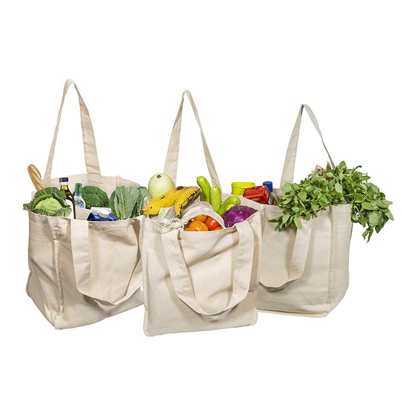 lightweight reusable tote bag with compartments