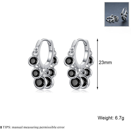 Light Luxury Tassel Zircon Fashion Earrings